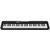 Синтезаторы: Синтезатор Casio CT-S300BK 61 клавиша фотографии