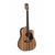 Электроакустические гитары: Гитара Maton EBW70C фотографии
