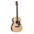 Электроакустические гитары: Гитара Maton SRS808 фотографии