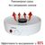 Сушки для овощей: Сушилка для овощей и фруктов Supra DFS-321 350 Вт, 5 съемных секций фотографии