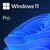 Программное обеспечение: Операционная система Microsoft Windows Pro FPP 11 64-bit Eng USB [HAV-00162] фотографии