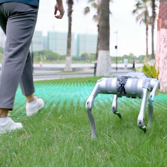 Бионический четырехопорный робот Unitree Go2 Pro фотографии