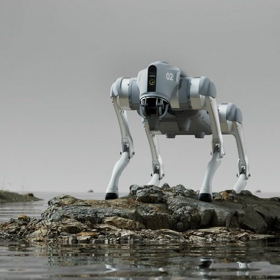 Бионический четырехопорный робот Unitree Go2 Pro фотографии