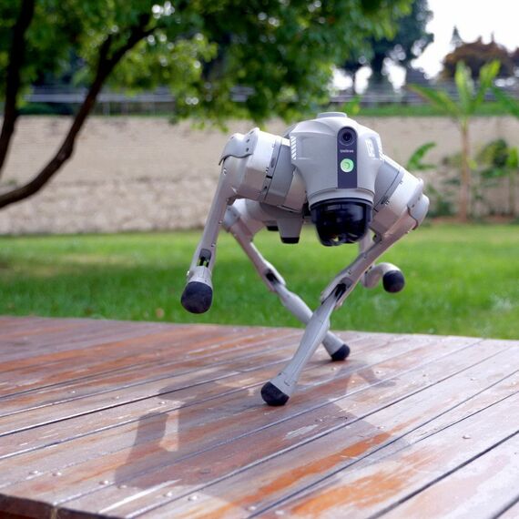 Бионический четырехопорный робот Unitree Go2 Pro фотографии