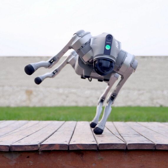 Бионический четырехопорный робот Unitree Go2 Pro фотографии