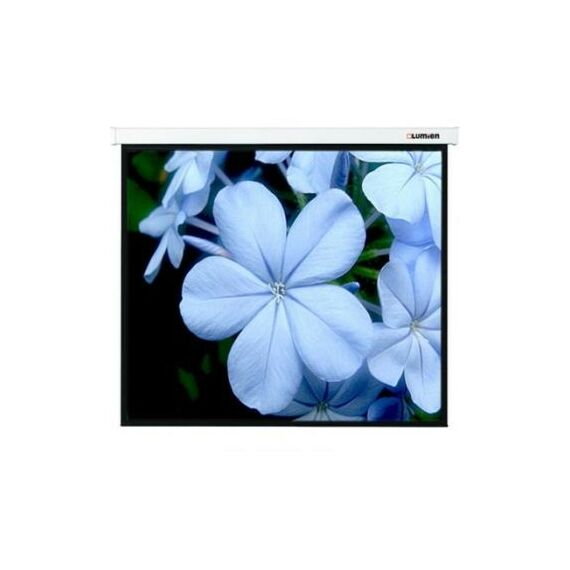 Экраны для проекторов: Экран Lumien Master Picture 120" NTSC MW 183 x 244cm 120", 4:3 [LMP-100110] фотографии