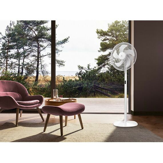 Вентиляторы: Вентилятор напольный Electrolux EFF-1002i фотографии