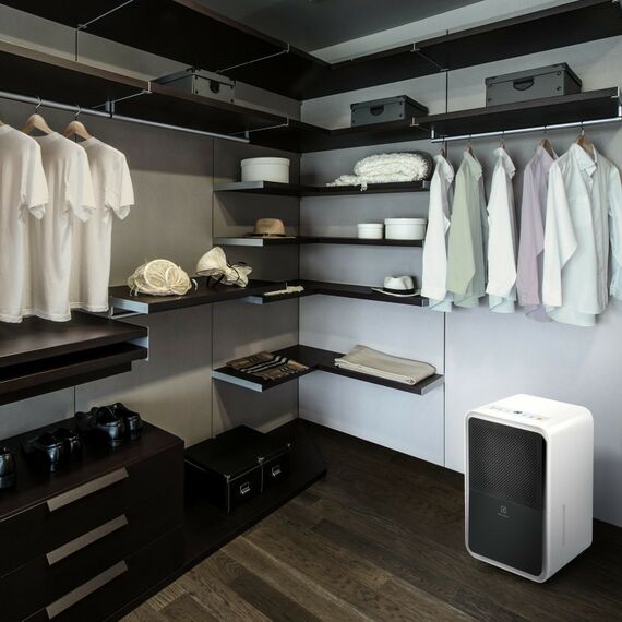 Очистители, увлажнители и осушители воздуха: Осушитель воздуха Electrolux EDH-15L фотографии