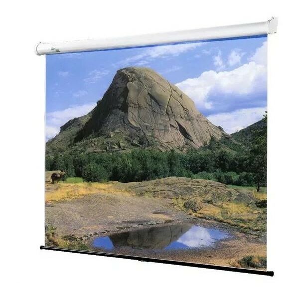 Экраны для проекторов: Экран Sakura Wallscreen 16:9 SCPSW-221x125 221x125 см, настенно-потолочный рулонный белый, 100" фотографии