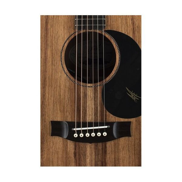 Электроакустические гитары: Гитара Maton EBW70C фотографии