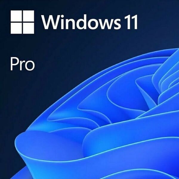 Программное обеспечение: Операционная система Microsoft Windows Pro FPP 11 64-bit Eng USB [HAV-00162] фотографии