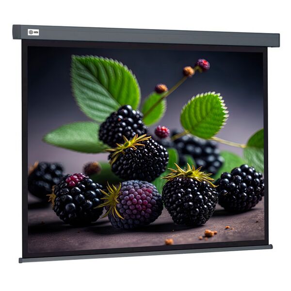 Купить Экран Cactus CS-PSW-127X127-SG 127x127см Wallscreen 1:1 настенно-потолочный рулонный серый, изображение 2 в компании Зеон