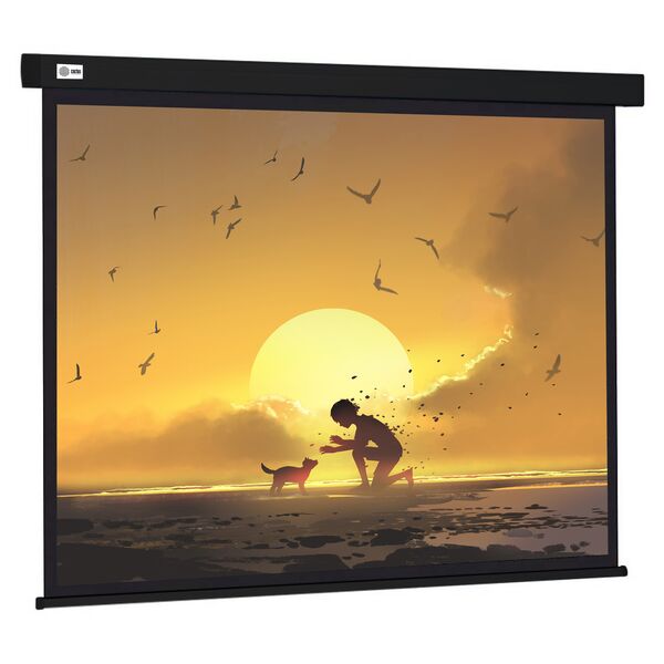 Купить Экран Cactus CS-PSW-150X150-BK 150x150см Wallscreen  1:1 настенно-потолочный рулонный черный в компании Зеон